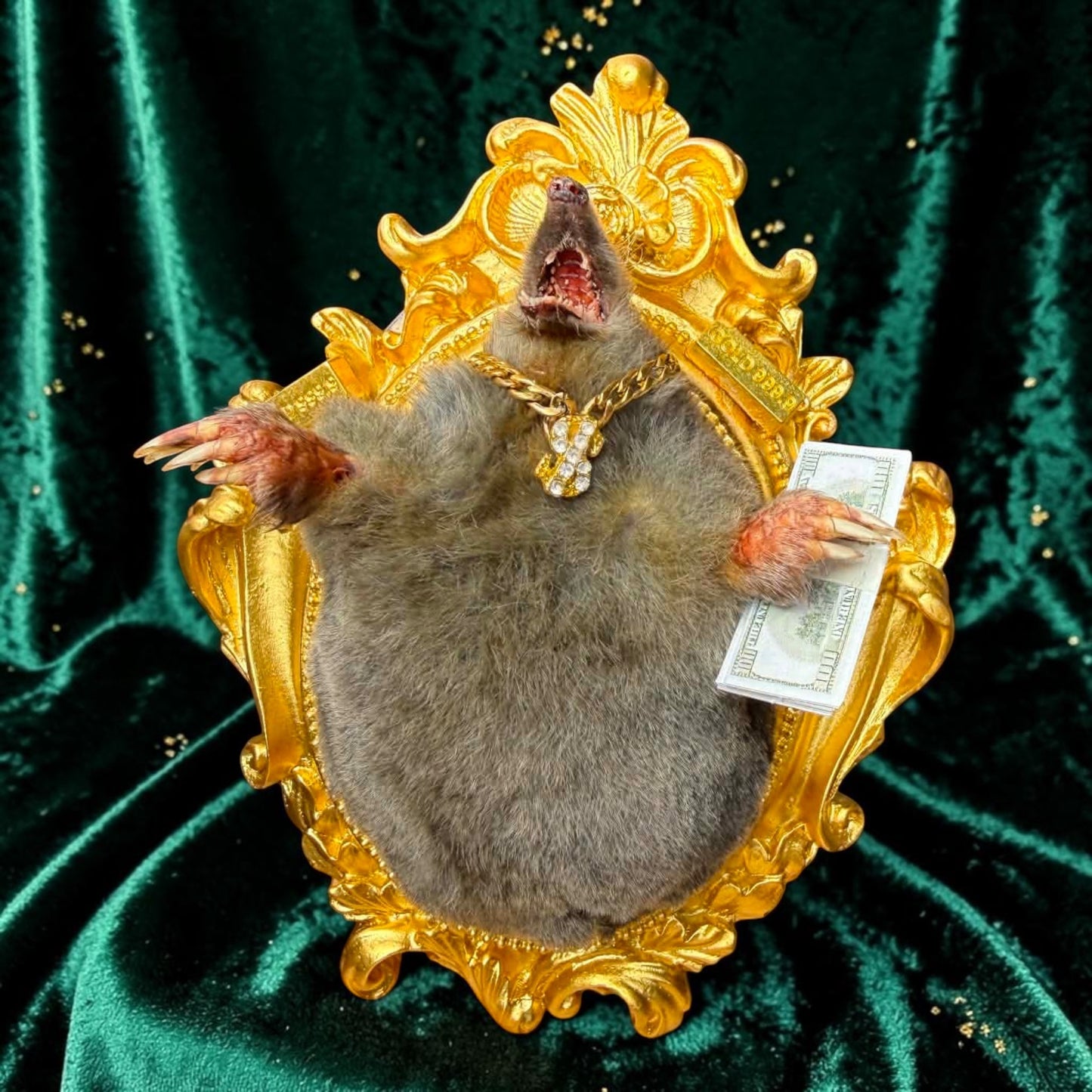 Millionaire Mole Taxidermy Display