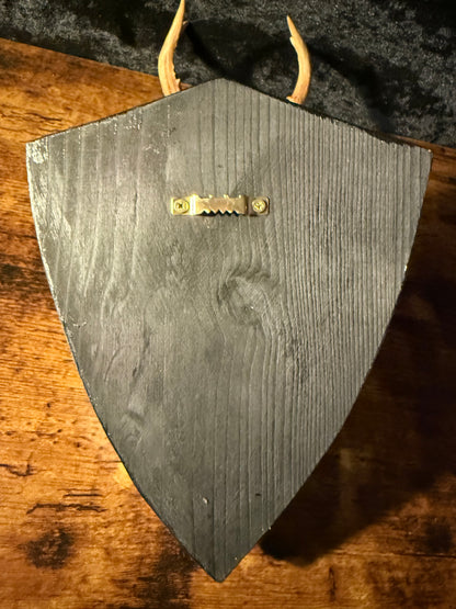 Mounted Roe Deer Skull with Antlers on Wooden Plaque – Natural Taxidermy Wall Display