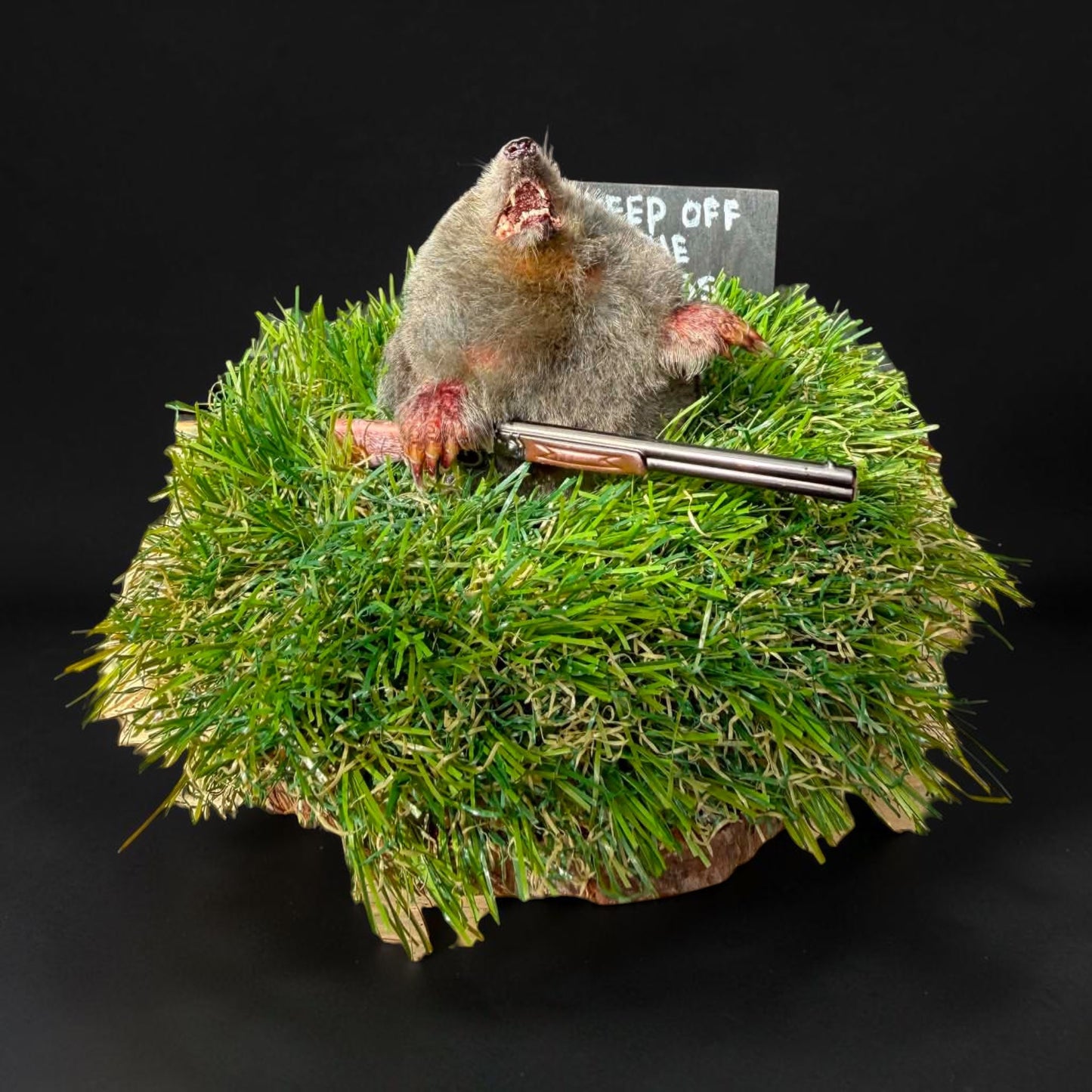 Keep Off the Grass Taxidermy Mole Display