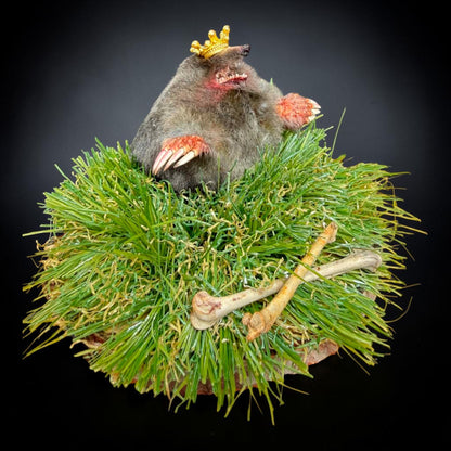 King of the Tunnel Mole Taxidermy Display