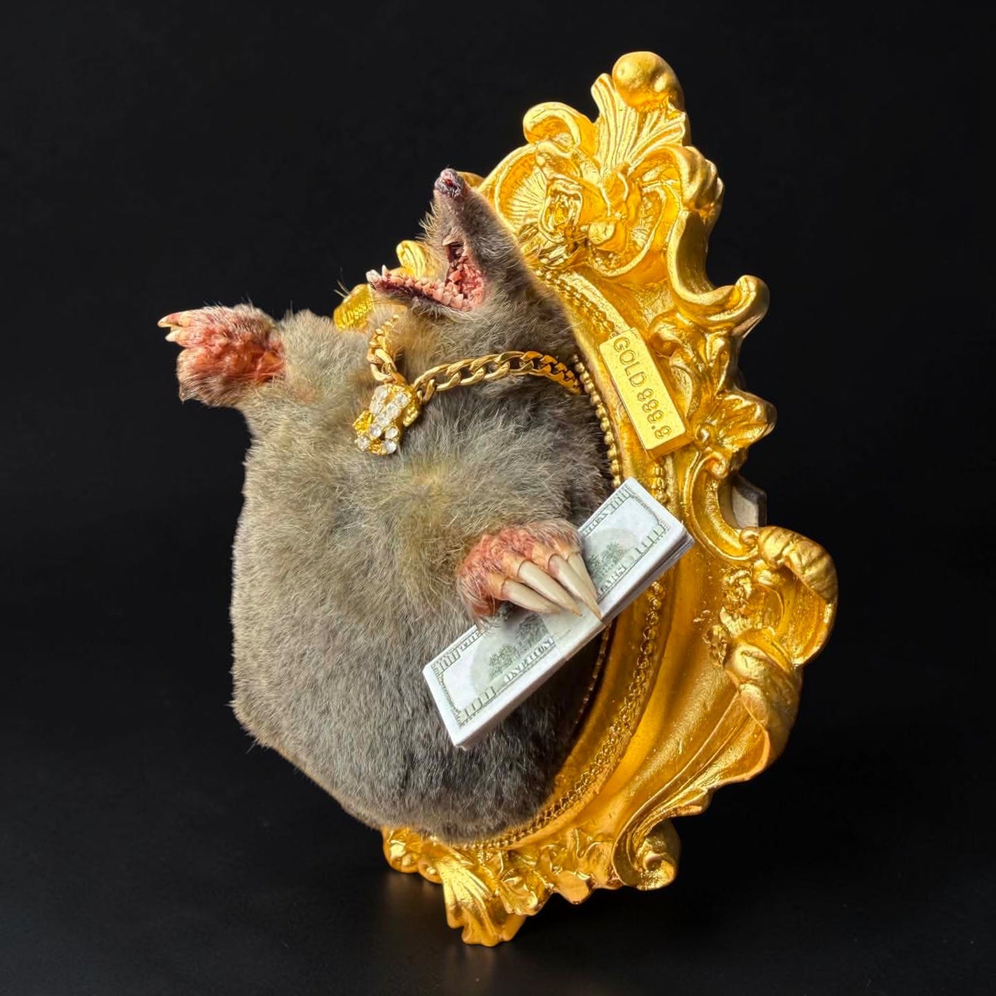 Millionaire Mole Taxidermy Display
