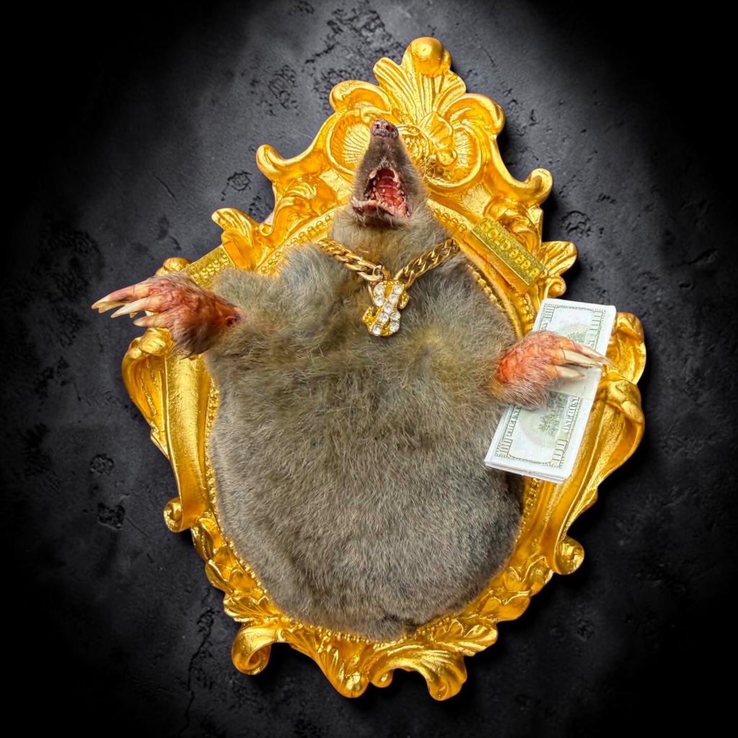 Millionaire Mole Taxidermy Display