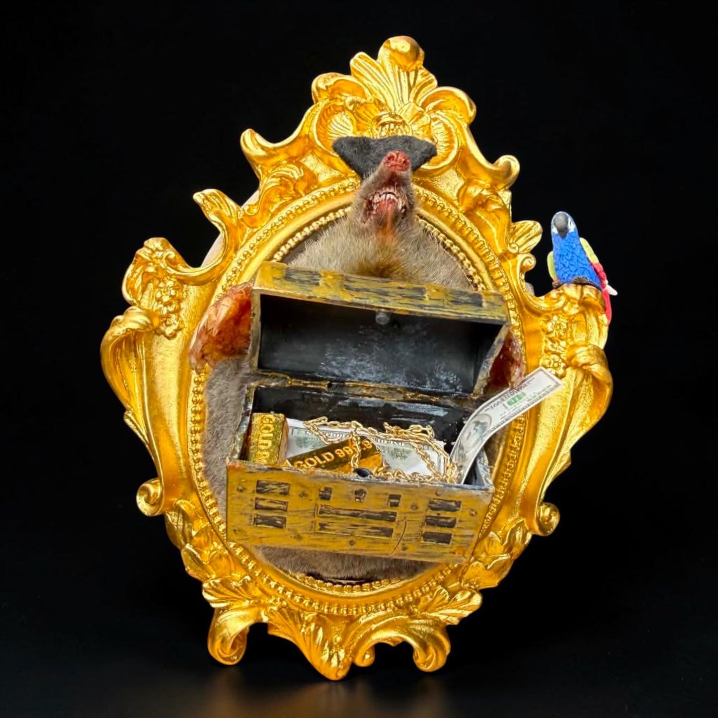 Pirate Mole Taxidermy Display