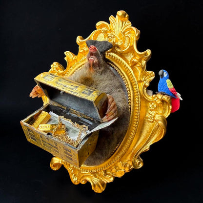 Pirate Mole Taxidermy Display