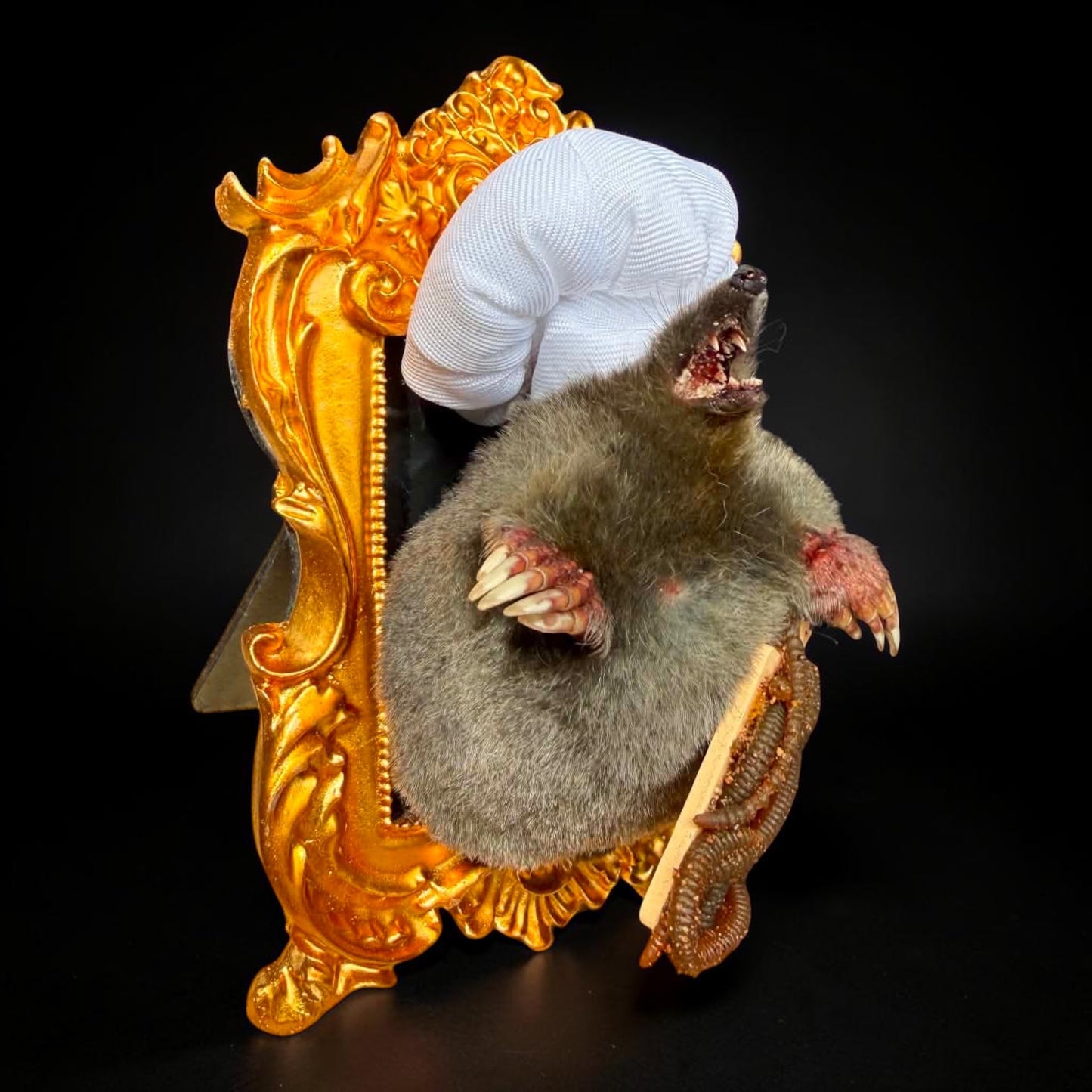 Chef Mole Taxidermy Display