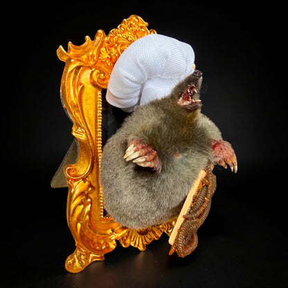 Chef Mole Taxidermy Display